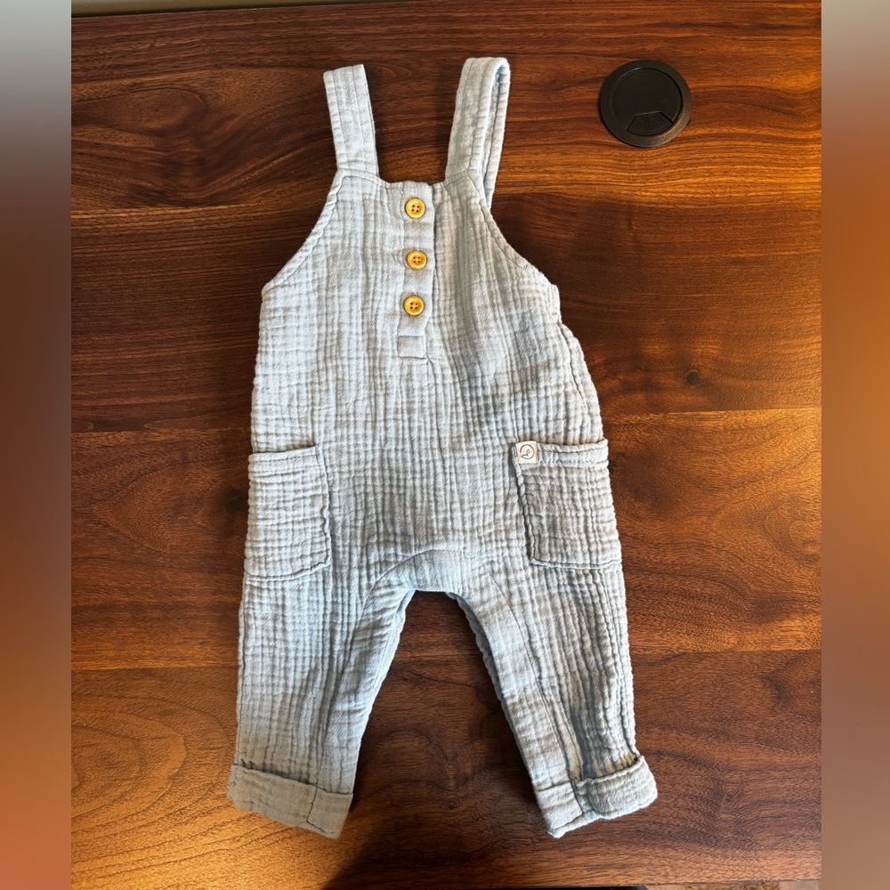 Carter's Little Planet Gauze Blue Overalls
